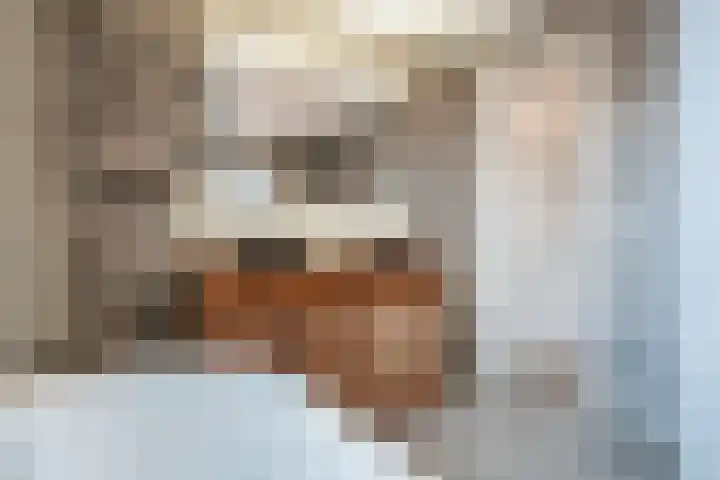 Lakensnijdersgilde 83 Hasselt thumbnail 43