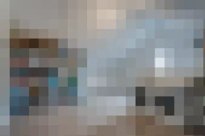 Lakensnijdersgilde 83 Hasselt thumbnail 45