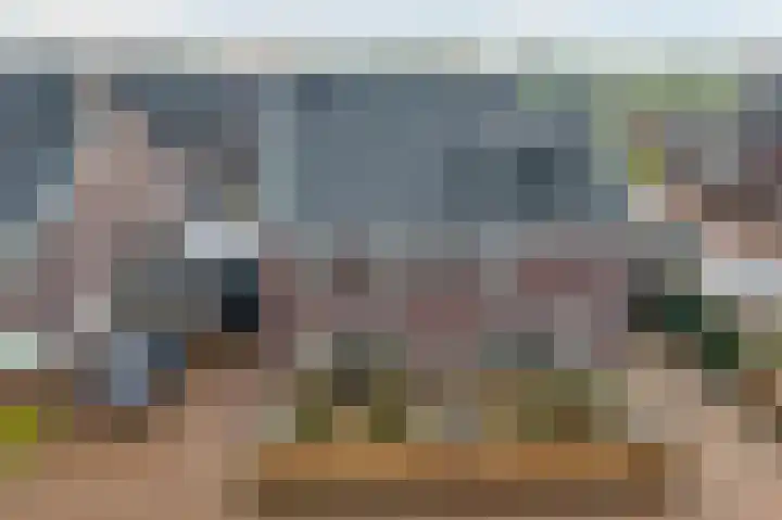 Lakensnijdersgilde 83 Hasselt thumbnail 47