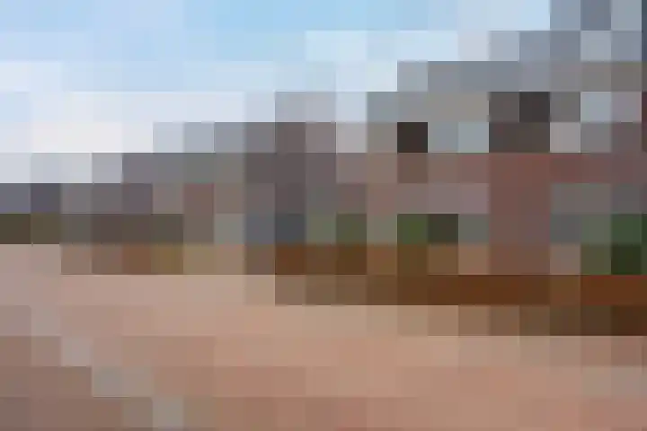 Lakensnijdersgilde 83 Hasselt thumbnail 5