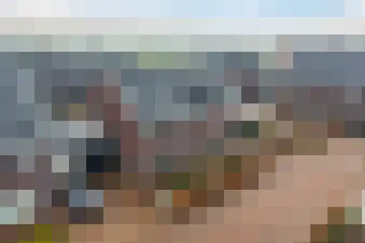 Lakensnijdersgilde 83 Hasselt thumbnail 6