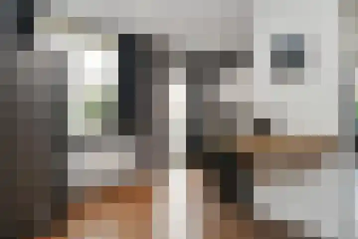Lakenstraat 1 Geldrop thumbnail 11