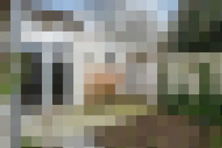 Lakenstraat 1 Geldrop thumbnail 26