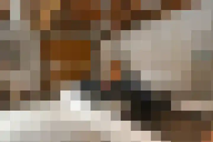 Lakenstraat 1 Geldrop thumbnail 30
