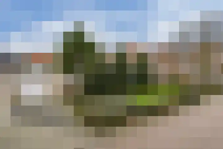 Lakenstraat 1 Geldrop thumbnail 4