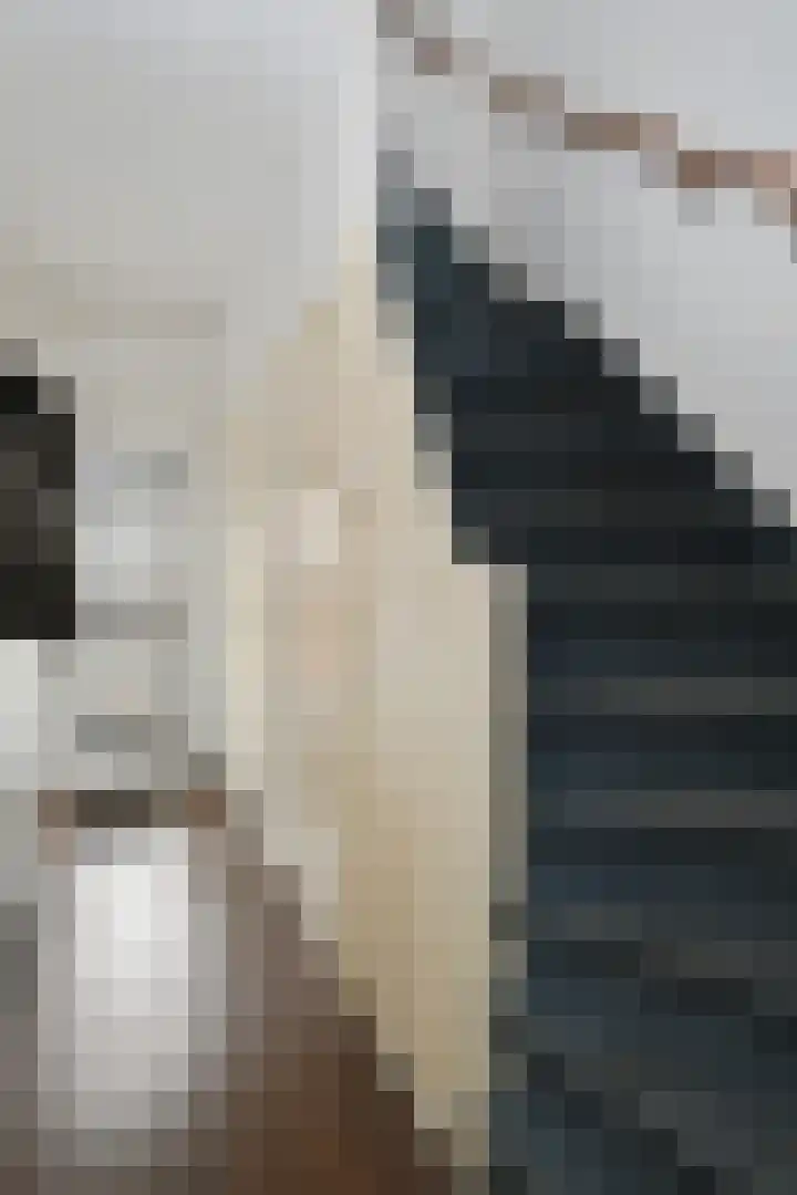 Lakenstraat 1 Geldrop thumbnail 6