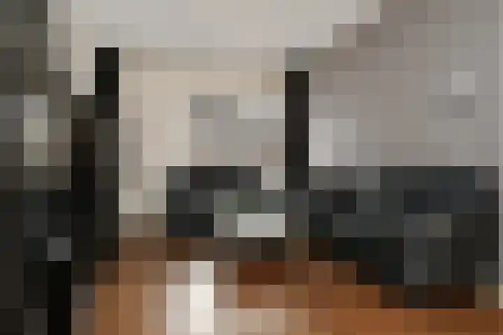 Lakenstraat 1 Geldrop thumbnail 9