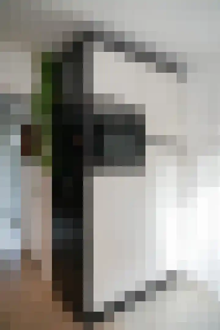 Lakenstraat 16 Wamel thumbnail 10