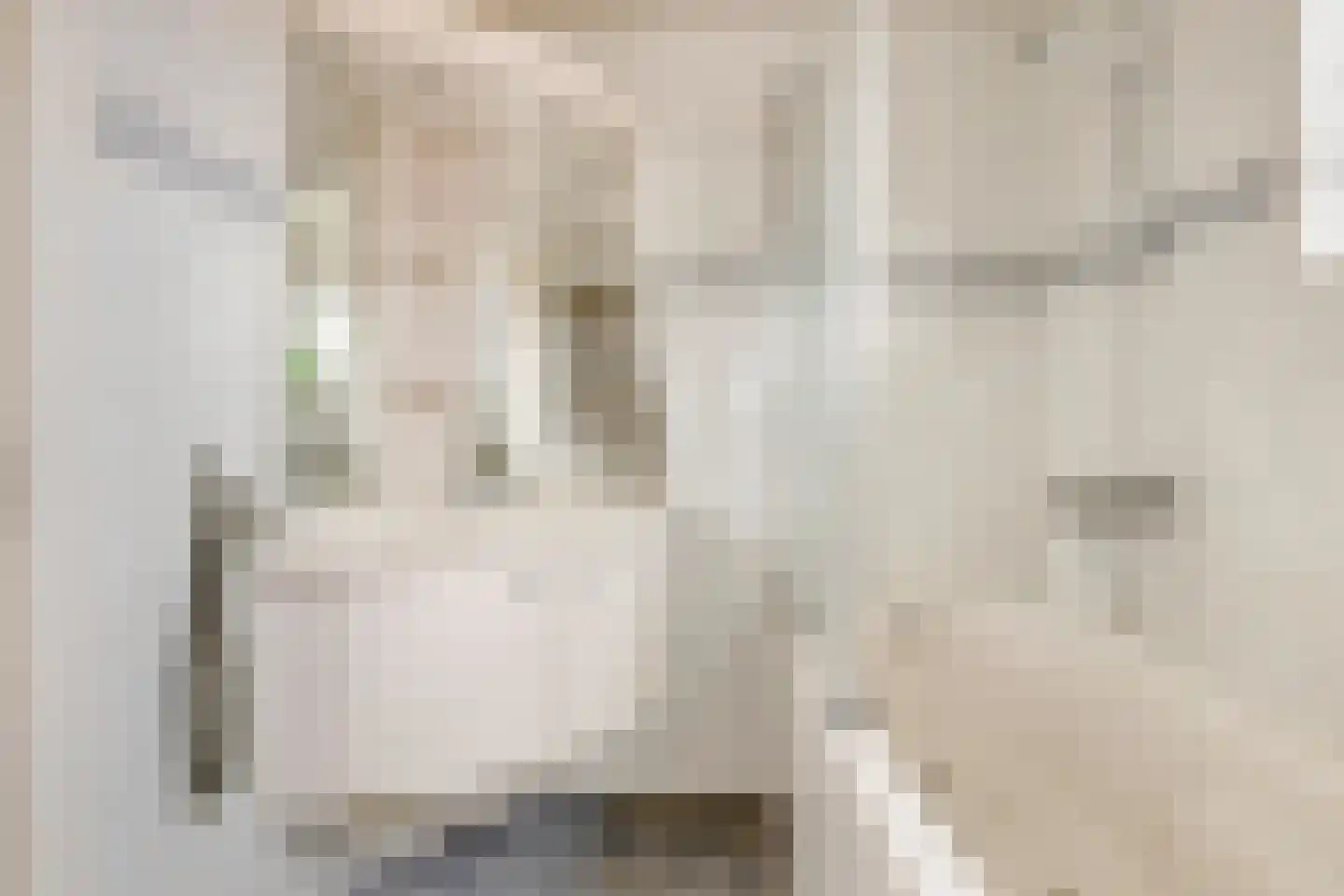 Lakenstraat 17 Tilburg thumbnail 18