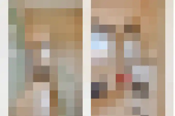 Lakenstraat 19 Geldrop thumbnail 37