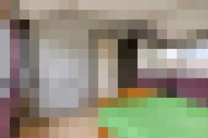 Lakenstraat 19 Geldrop thumbnail 40