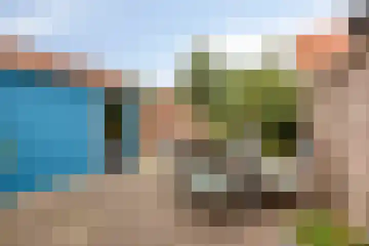 Lakenstraat 19 Geldrop thumbnail 41