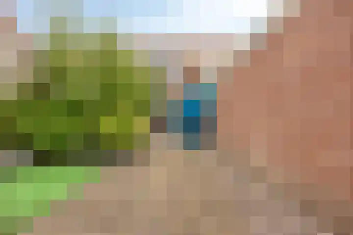 Lakenstraat 19 Geldrop thumbnail 43