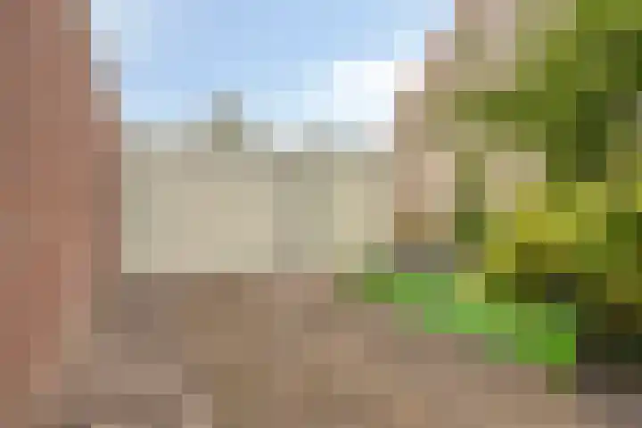 Lakenstraat 19 Geldrop thumbnail 44
