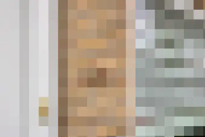 Lakenstraat 19 Geldrop thumbnail 8