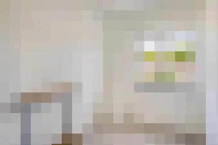 Lakenstraat 24 Geldrop thumbnail 14