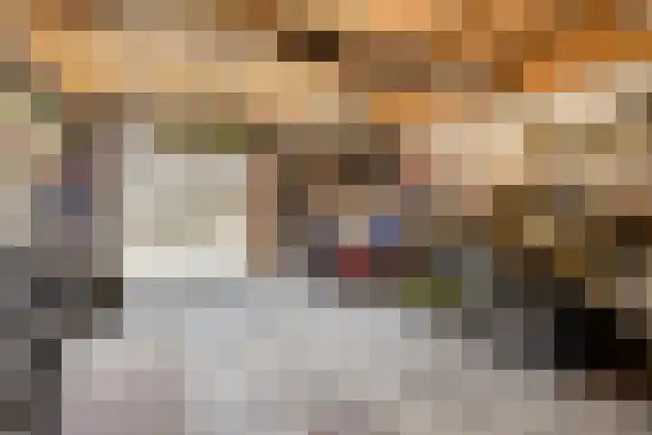 Lakenstraat 24 Geldrop thumbnail 18