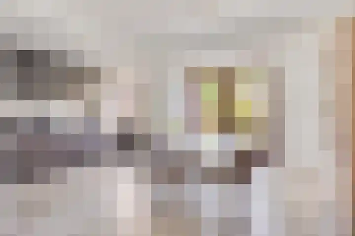Lakenstraat 24 Geldrop thumbnail 4
