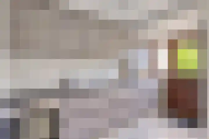 Lakenstraat 24 Geldrop thumbnail 7