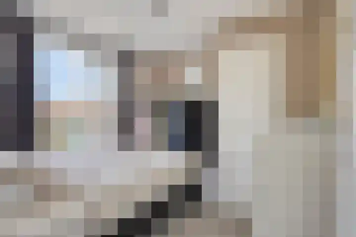 Lakenstraat 3 Geldrop thumbnail 13