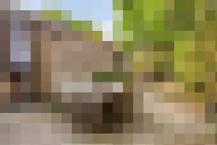 Lakenstraat 3 Geldrop thumbnail 19