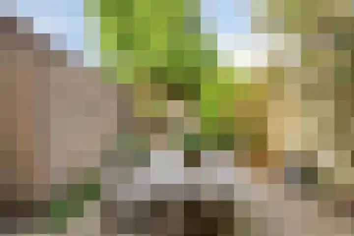 Lakenstraat 3 Geldrop thumbnail 20