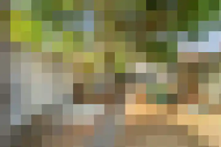 Lakenstraat 3 Geldrop thumbnail 21