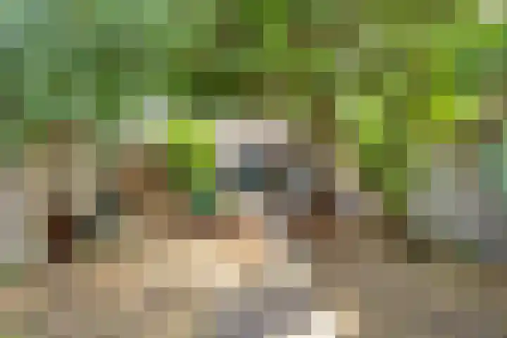 Lakenstraat 3 Geldrop thumbnail 22