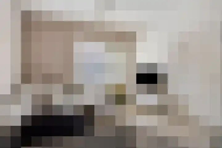 Lakenstraat 3 Geldrop thumbnail 5