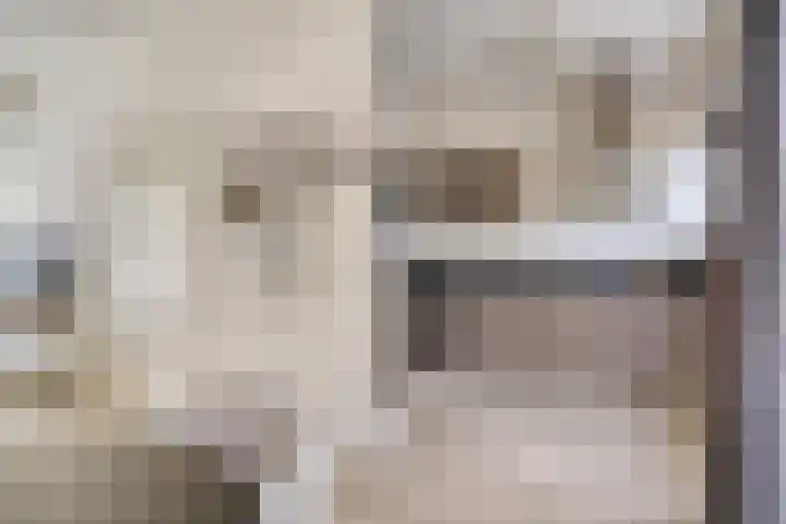 Lakenstraat 3 Geldrop thumbnail 6
