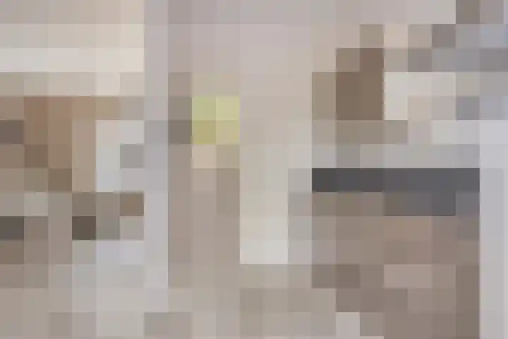 Lakenstraat 3 Geldrop thumbnail 8