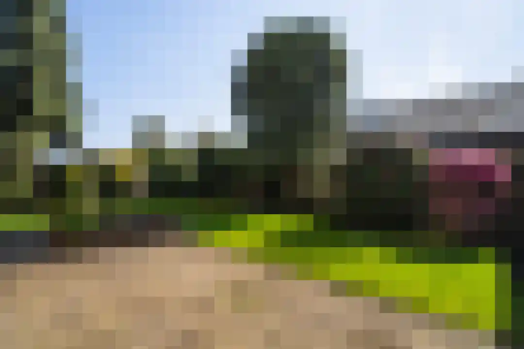 Lakenstraat 3 Weert thumbnail 39