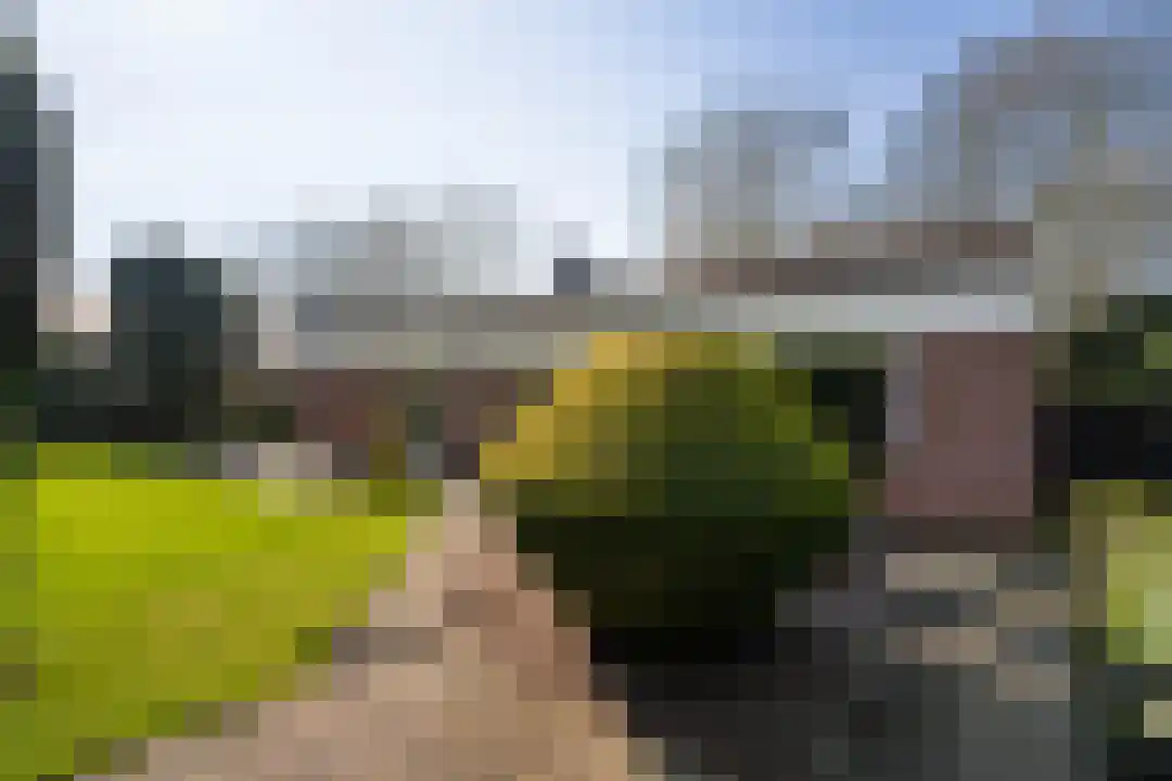 Lakenstraat 3 Weert thumbnail 42