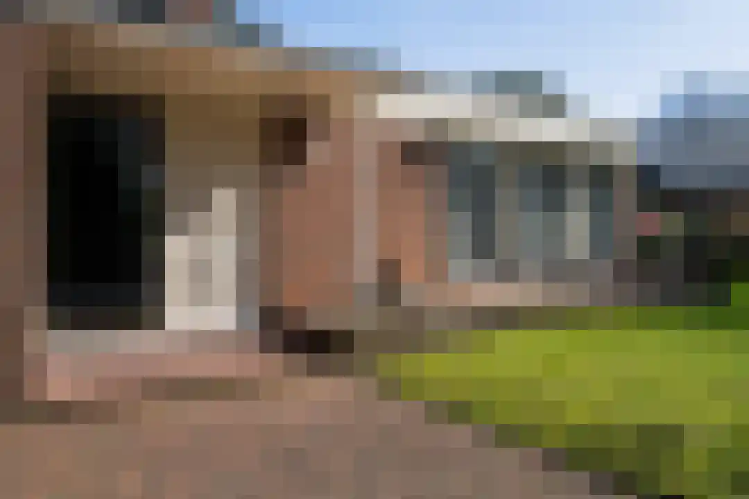 Lakenstraat 3 Weert thumbnail 7