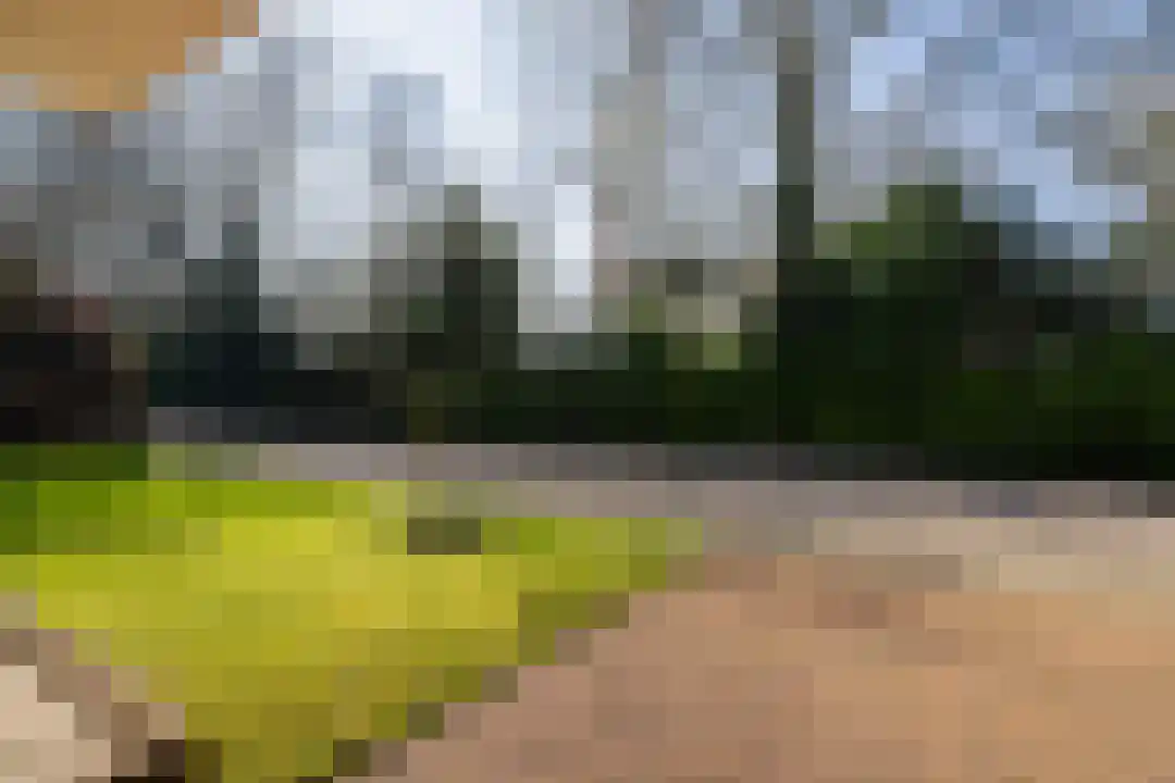 Lakenstraat 3 Weert thumbnail 8