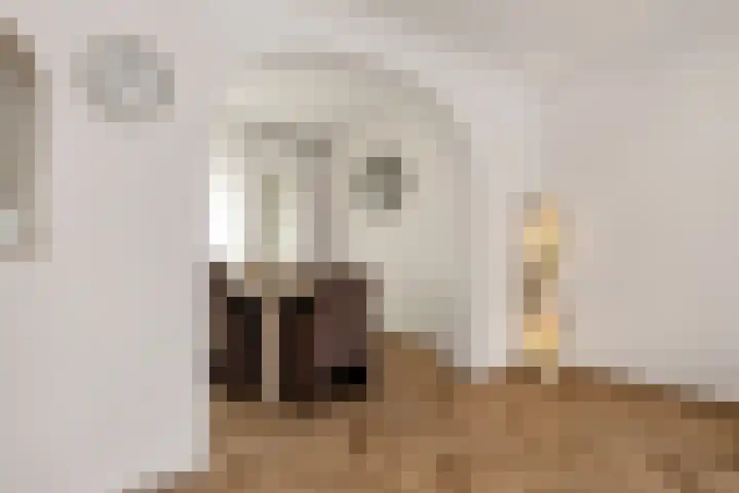 Lakenstraat 43 Geldrop thumbnail 23