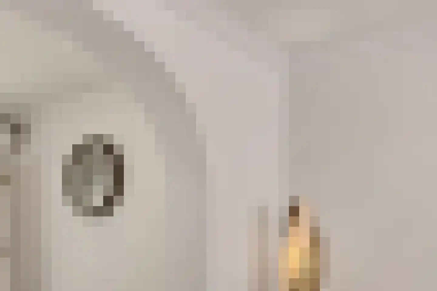 Lakenstraat 43 Geldrop thumbnail 24
