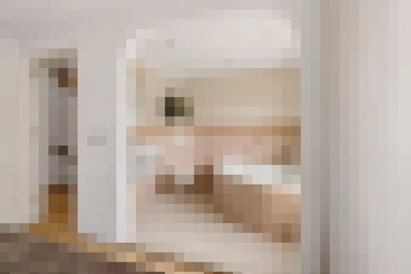 Lakenstraat 43 Geldrop thumbnail 36