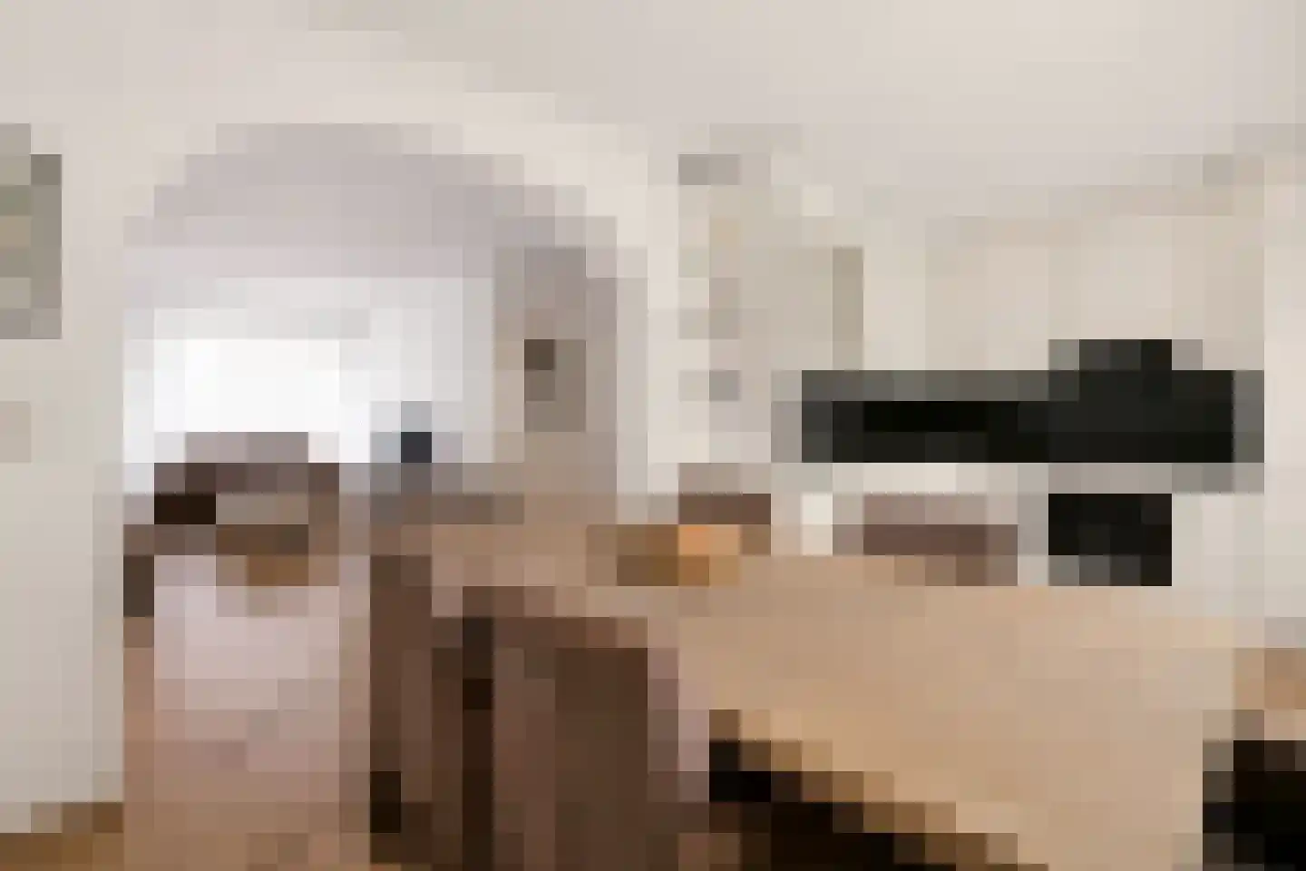 Lakenstraat 43 Geldrop thumbnail 4