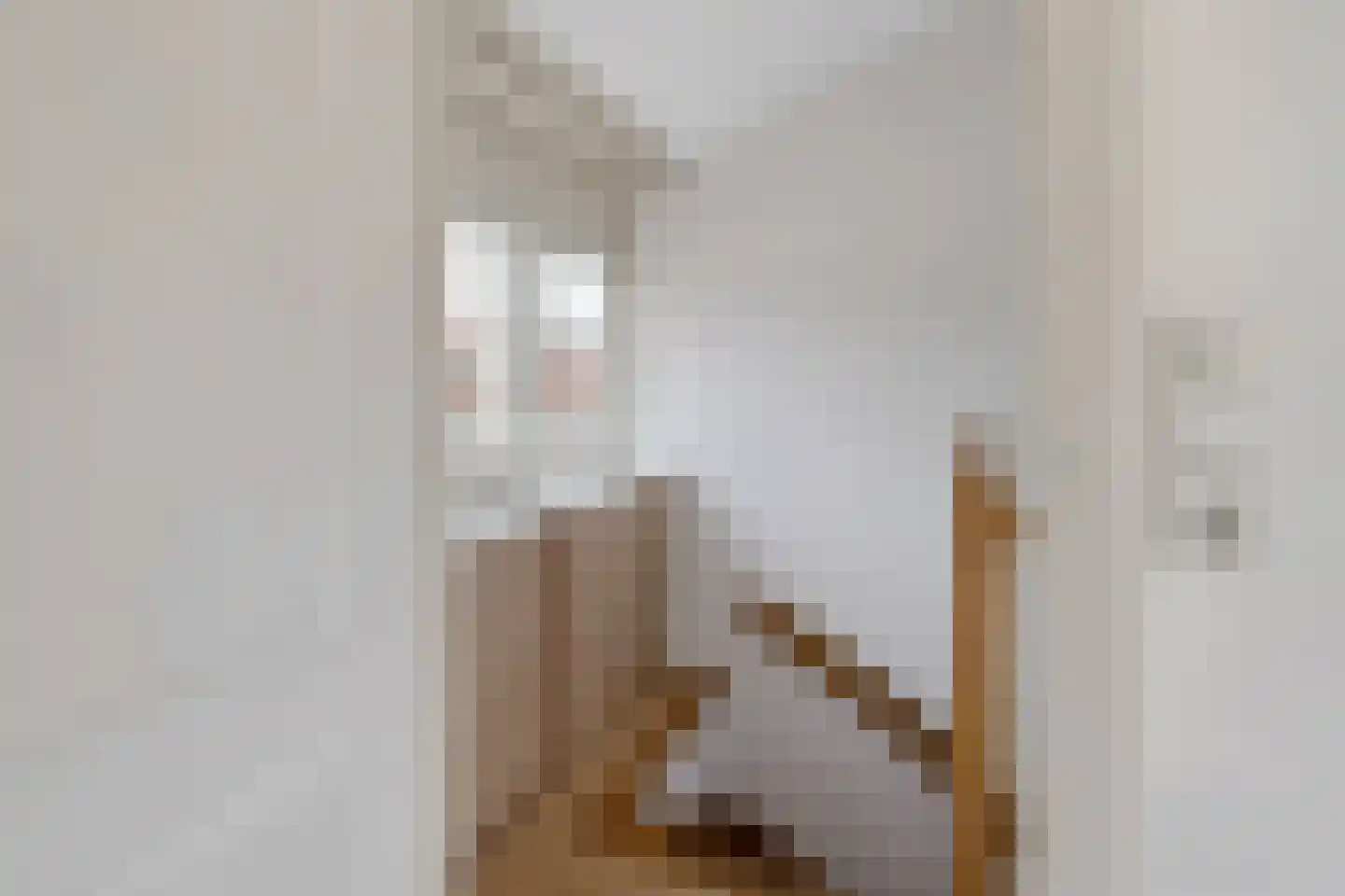 Lakenstraat 43 Geldrop thumbnail 48