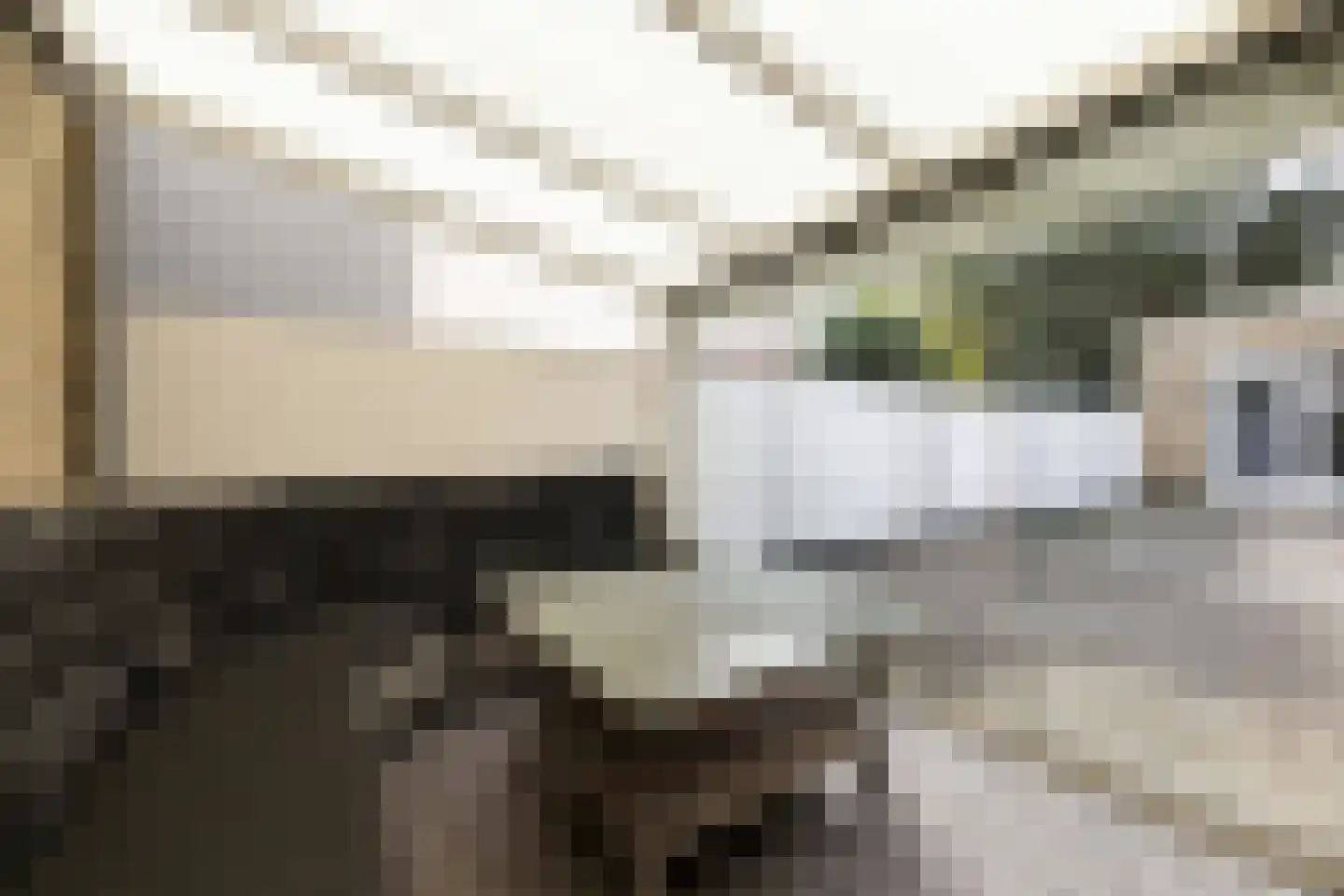 Lakenstraat 43 Geldrop thumbnail 52