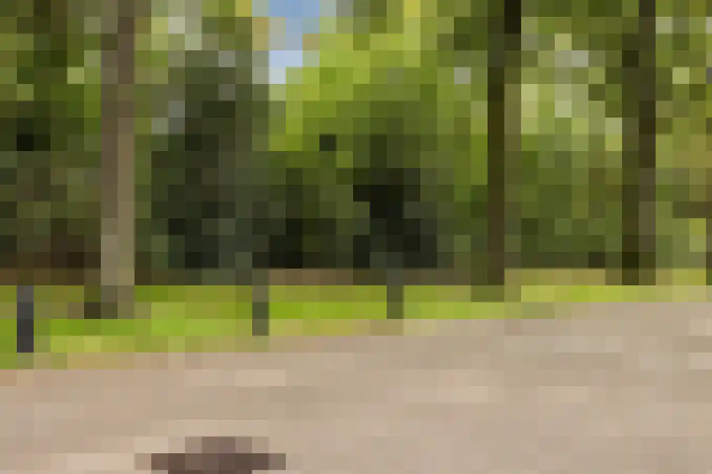 Lakenstraat 43 Geldrop thumbnail 63