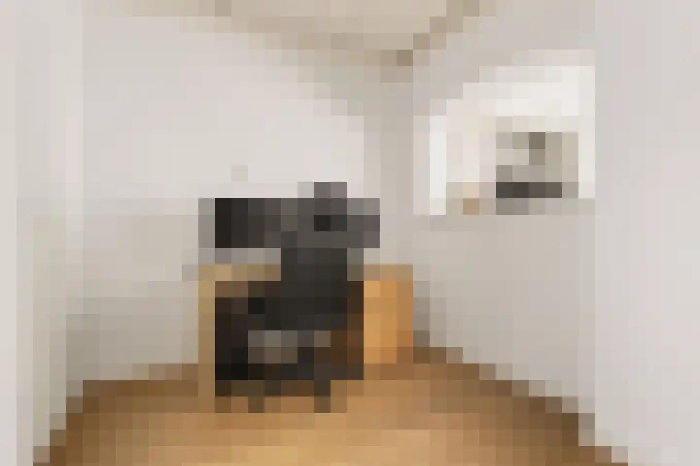 Lakenstraat 48 Geldrop thumbnail 11