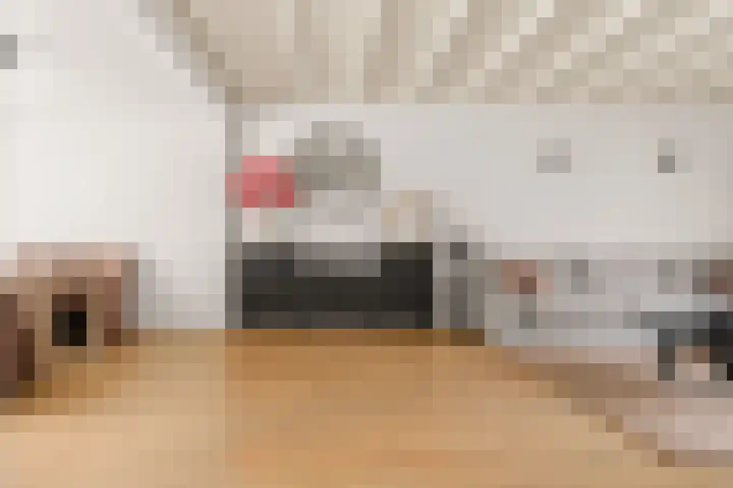 Lakenstraat 48 Geldrop thumbnail 13