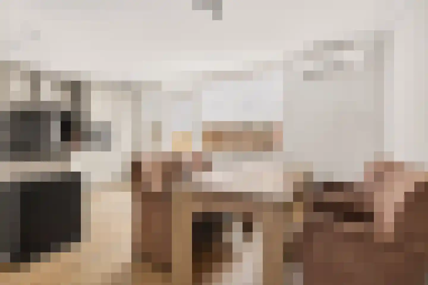 Lakenstraat 48 Geldrop thumbnail 16