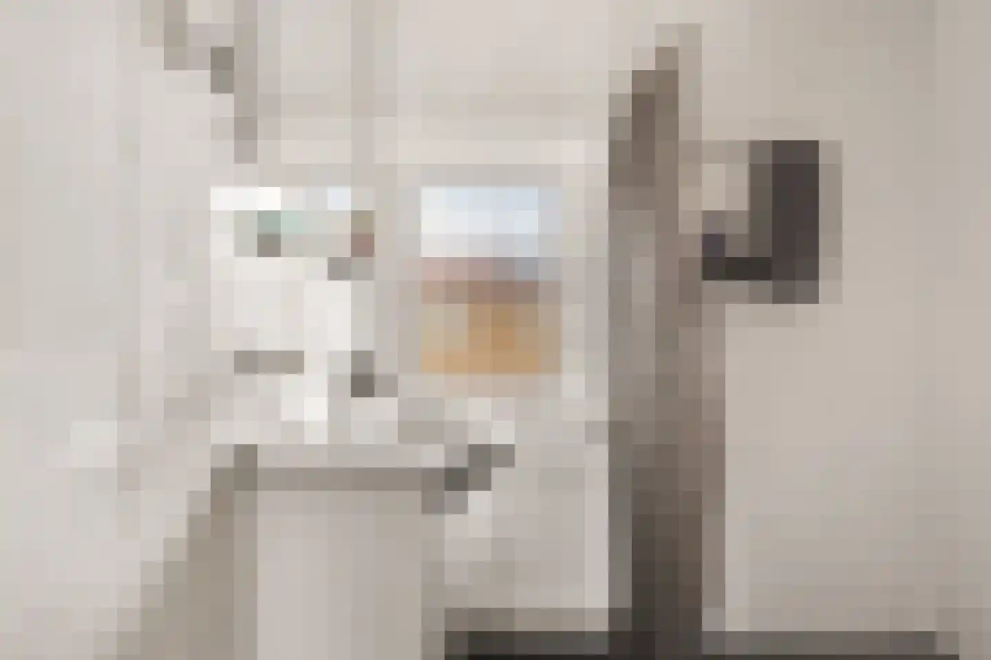 Lakenstraat 48 Geldrop thumbnail 29