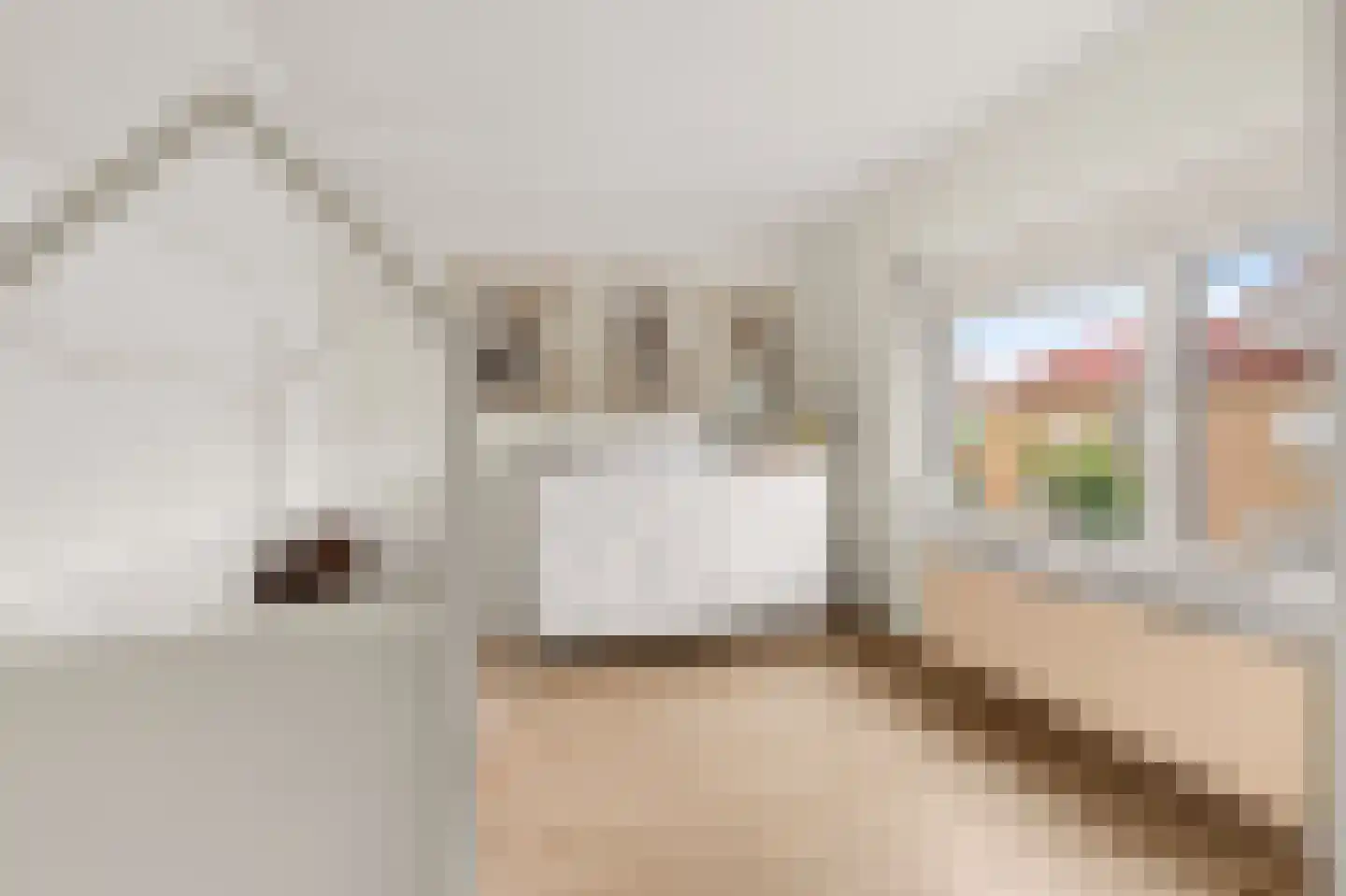 Lakenstraat 48 Geldrop thumbnail 31