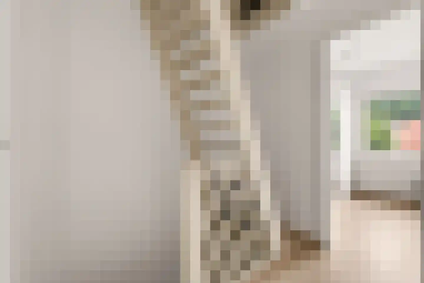 Lakenstraat 48 Geldrop thumbnail 33