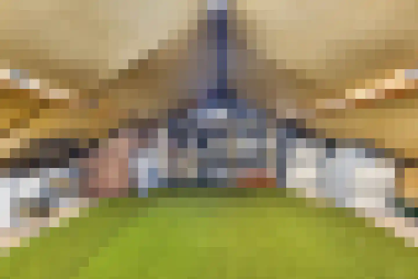 Lakenstraat 48 Geldrop thumbnail 34