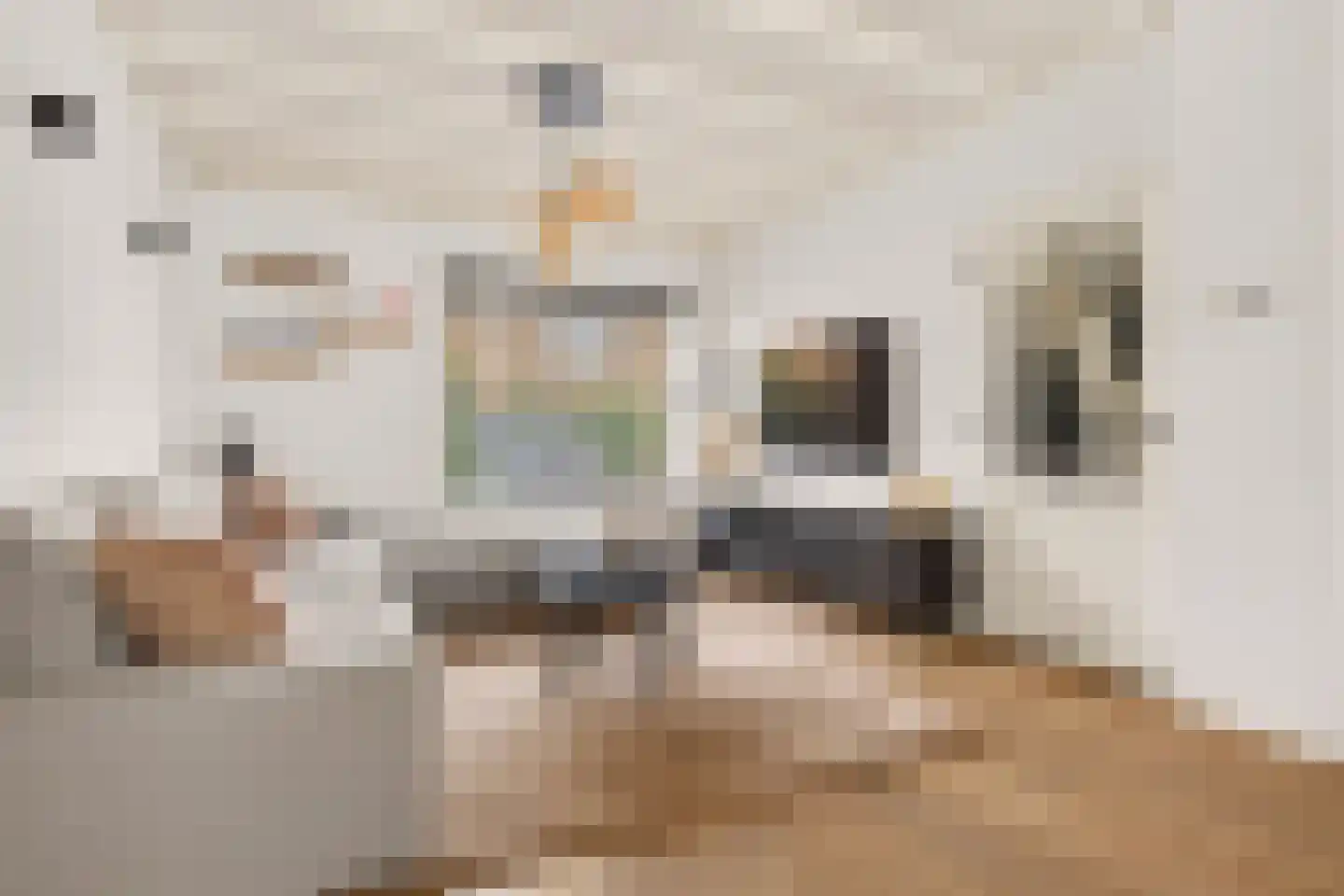 Lakenstraat 48 Geldrop thumbnail 9